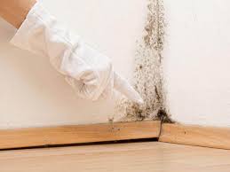 Best Mold Removal for HVAC Installations  in Morgan Hill, CA